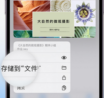 万柏林apple维修中心分享iPhone文件应用中存储和找到下载文件