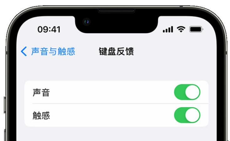 万柏林苹果手机维修分享iPhone 14触感键盘使用方法 