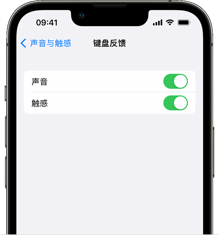 万柏林苹果14维修店分享如何在 iPhone 14 机型中使用触感键盘 