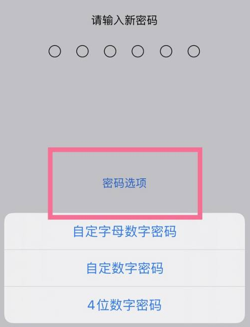 万柏林苹果14维修分享iPhone 14plus设置密码的方法 