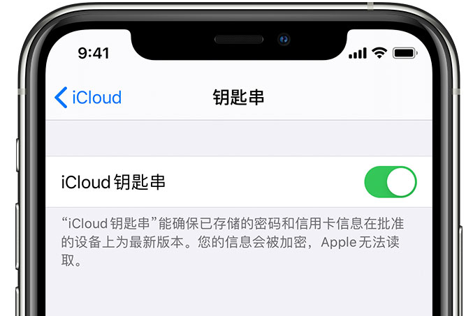 万柏林苹果手机维修分享在 iPhone 上开启 iCloud 钥匙串之后会储存哪些信息 